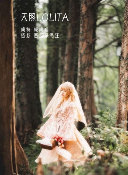 正阳门下36集全剧情免费_在线影院观看