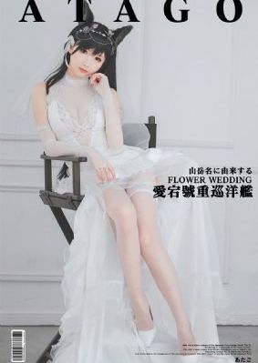 追捕者电视剧全集在线观看免费_剧情片电视剧在线观看
