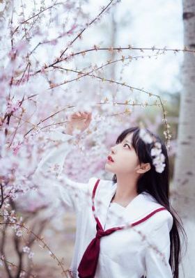 迷局破之深潜电视剧_DVD视频大全